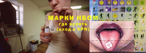 сатива Лабытнанги