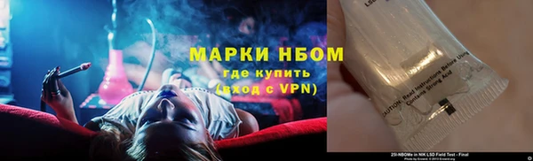 PSILOCYBIN Лиски