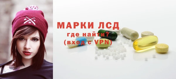 сатива Лабытнанги