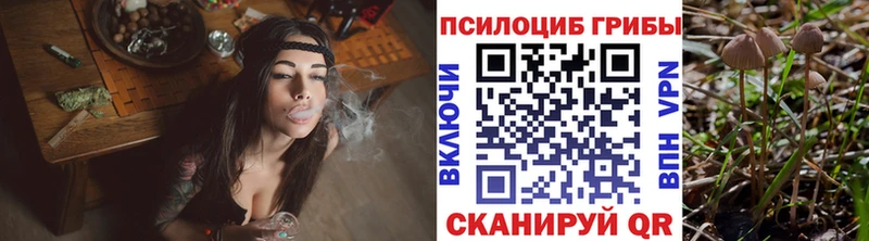 Галлюциногенные грибы MAGIC MUSHROOMS  Суровикино 